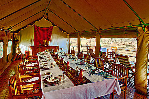 餐桌,准备,餐饭,露营,塔兰吉雷国家公园,坦桑尼亚