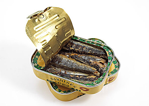 罐头,罐,沙丁鱼,白色背景