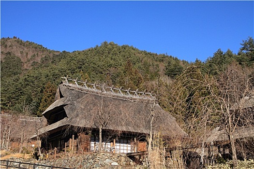 日本,茅草屋顶,房子