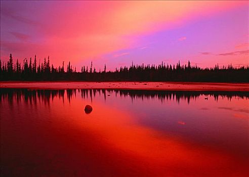 日出,伍德布法罗国家公园,艾伯塔省,加拿大
