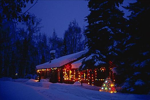 木屋,圣诞灯光,冬季,肖像,夜晚