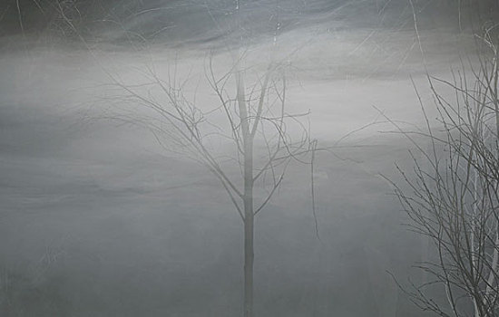 秃树,雾,夜晚