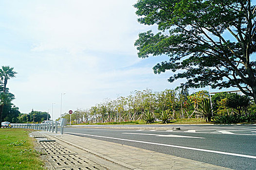 深圳滨海大道景观