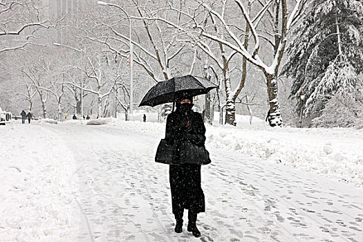 女人,走,雪中,伞,纽约,美国