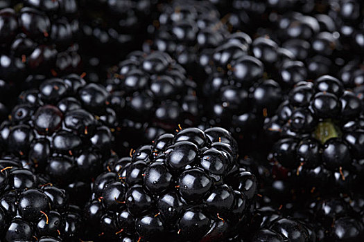 成熟,有机,黑莓,特写,有机食品,背景