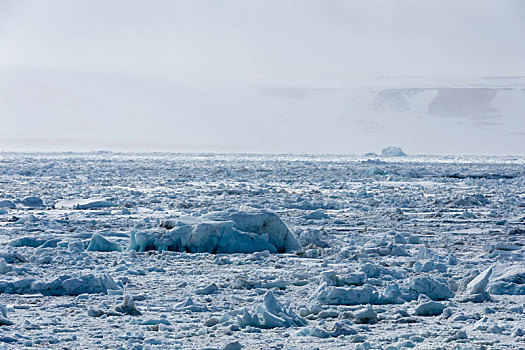 海冰,模糊,海边风景,峡湾,斯瓦尔巴特群岛,挪威