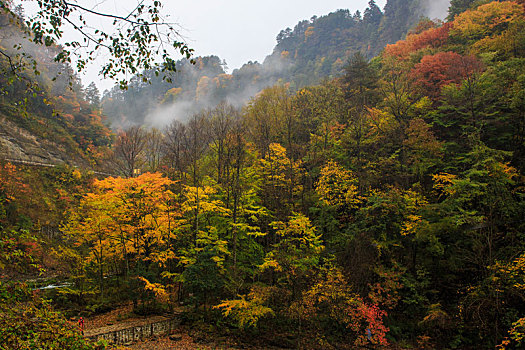 彩色的米仓山