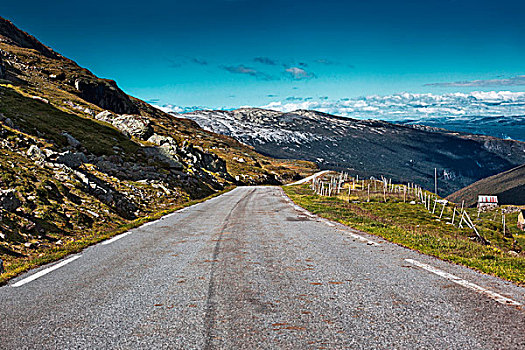 挪威,道路,风景,高山,对比,彩色