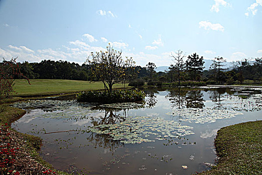 中科院西双版纳热带植物园美景