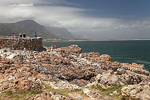 岩石,海岸线,最佳位置,观鲸,西海角,南非,非洲