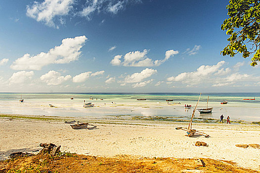 传统,渔民,船,海滩,热带海岛,桑给巴尔岛,坦桑尼亚