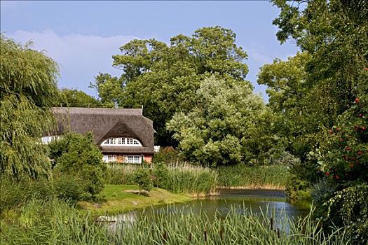 芦苇,茅草屋顶,房子,旁侧,水塘,靠近,梅克伦堡前波莫瑞州,德国,欧洲