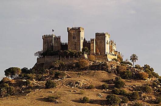 城堡,科多巴省,安达卢西亚,西班牙,欧洲