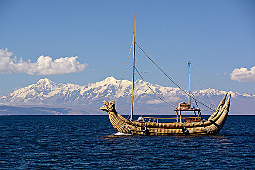 特色,芦苇,船,提提卡卡湖,区域,玻利维亚,南美