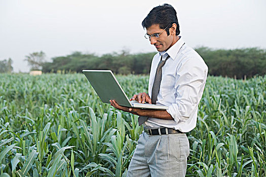 商务人士,笔记本电脑,农场