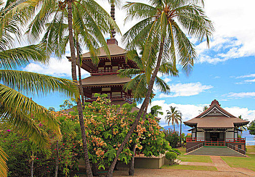 夏威夷,毛伊岛,拉海纳,教区,日本,佛教寺庙