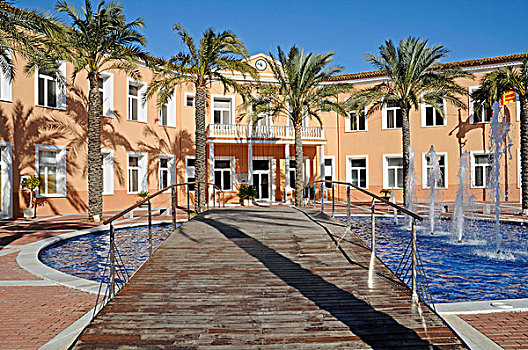 棕榈树,市政厅,丹尼亚,白色海岸,阿利坎特省,西班牙,欧洲