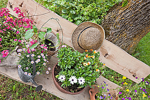 花盆,草帽,园凳
