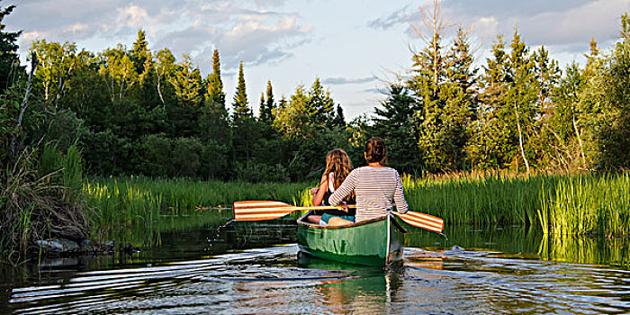 少女,划船,独木舟,湖,木头,安大略省,加拿大