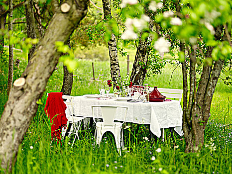 野餐桌,花园