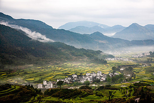 云雾缭绕的山中油菜花,村庄坐落在花海之中,2015年3月30日,摄于江西婺源江岭