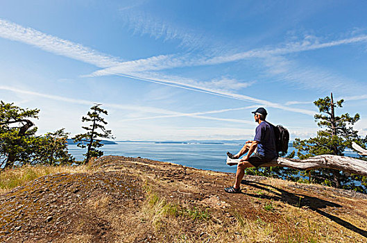 一个,男人,坐,远眺,悬崖,岛屿,海湾,靠近,温哥华岛,不列颠哥伦比亚省,加拿大