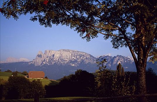 区域,白云岩,远景