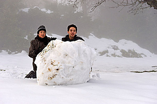 法国,两个男孩,巨大,球,雪