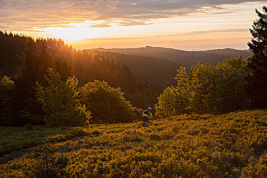 山地车手,日落,黑森林,巴登符腾堡,德国