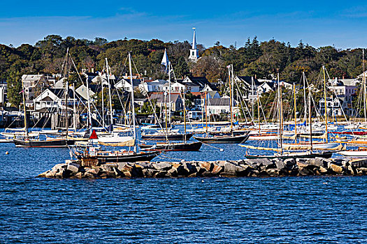 帆船,码头,城镇,背景,葡萄园,马萨诸塞,美国