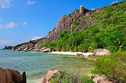岩石海岸,热带,植被,拉迪格岛,岛屿,塞舌尔,非洲