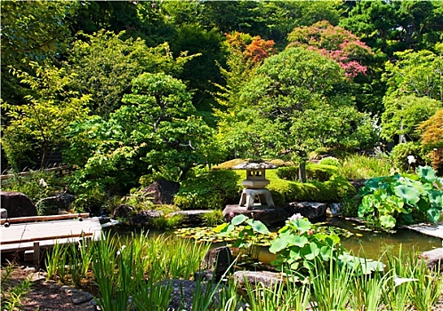漂亮,日式庭园