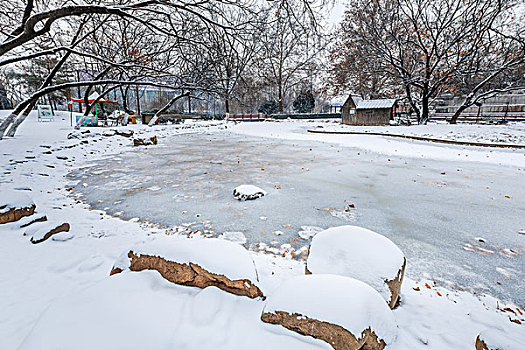 公园雪景