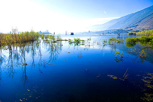 湖,风景,大理,云南