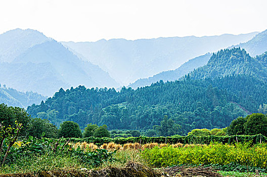 桂林山景秋色