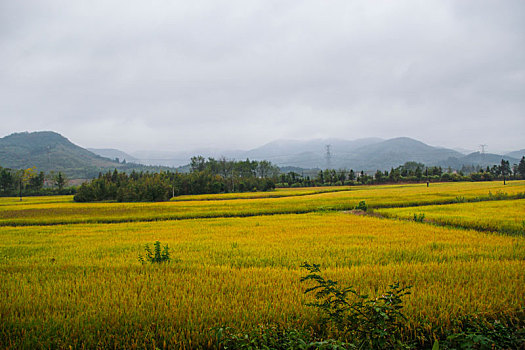 霭里村,美丽乡村,乡村旅游