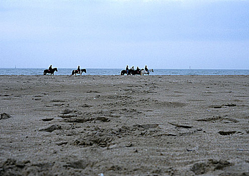 人,骑马,海滩