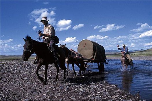 河,河岸,篷车,马,冒险者,哺乳动物,蒙古,亚洲,动物