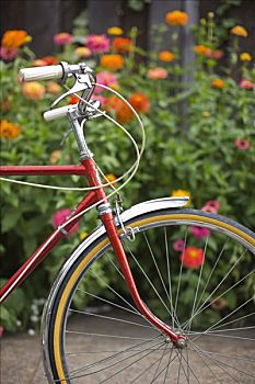 红色,自行车