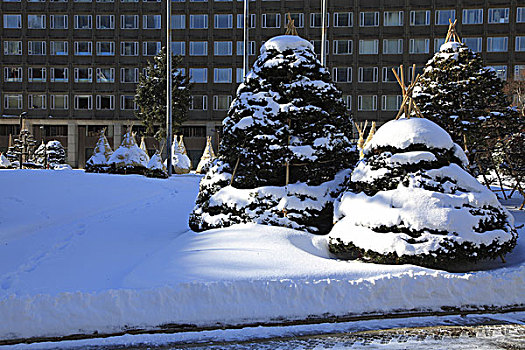 札幌,冬天