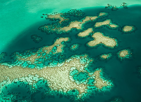 航拍,珊瑚礁,格朗德特尔,岛屿,新喀里多尼亚,大洋洲