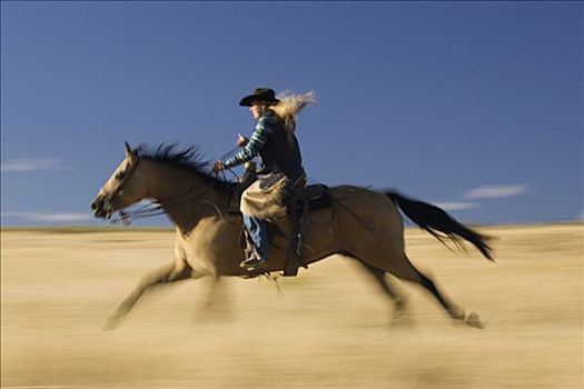 女牛仔,家养马,马,跑,地点,俄勒冈