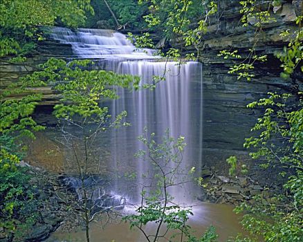瀑布,重,雨,州立公园,靠近,俄亥俄河,印地安那