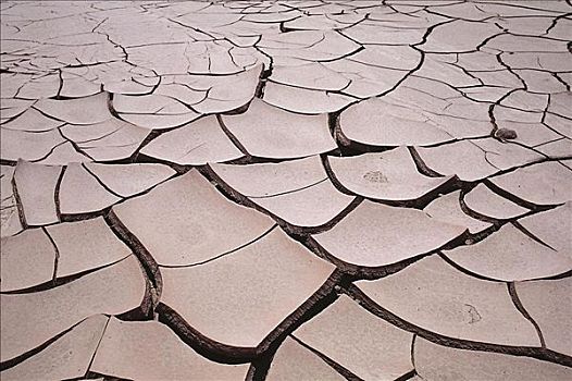 干燥,阿塔卡马沙漠,干旱,智利,南美