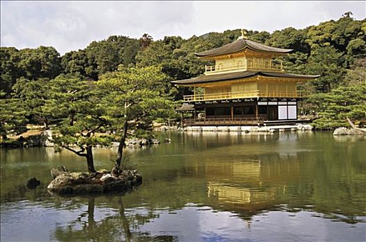 日本,京都,金阁寺,庙宇,金亭