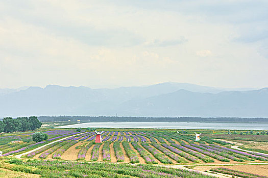 依山傍水