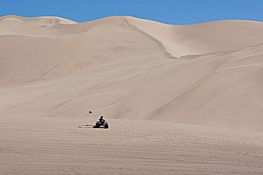 沙丘,交通工具,区域,人,骑,全地形车,莫哈维沙漠,加利福尼亚