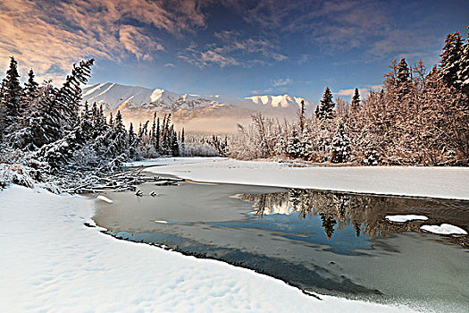 晨光,早,冬天,北方,楚加奇州立公园,阿拉斯加