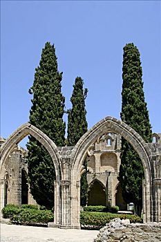 拱,博拉帕斯修道院,凯里尼亚,北方,塞浦路斯,欧洲
