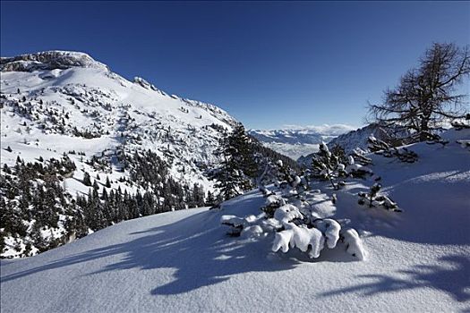 冬天,风景,山,提洛尔,奥地利,欧洲